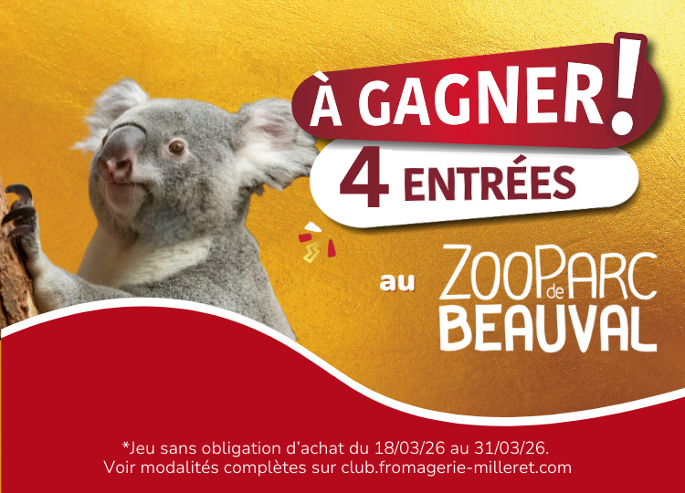 desktop_draw-d089d364-491d-4954-9a51-14349167d241