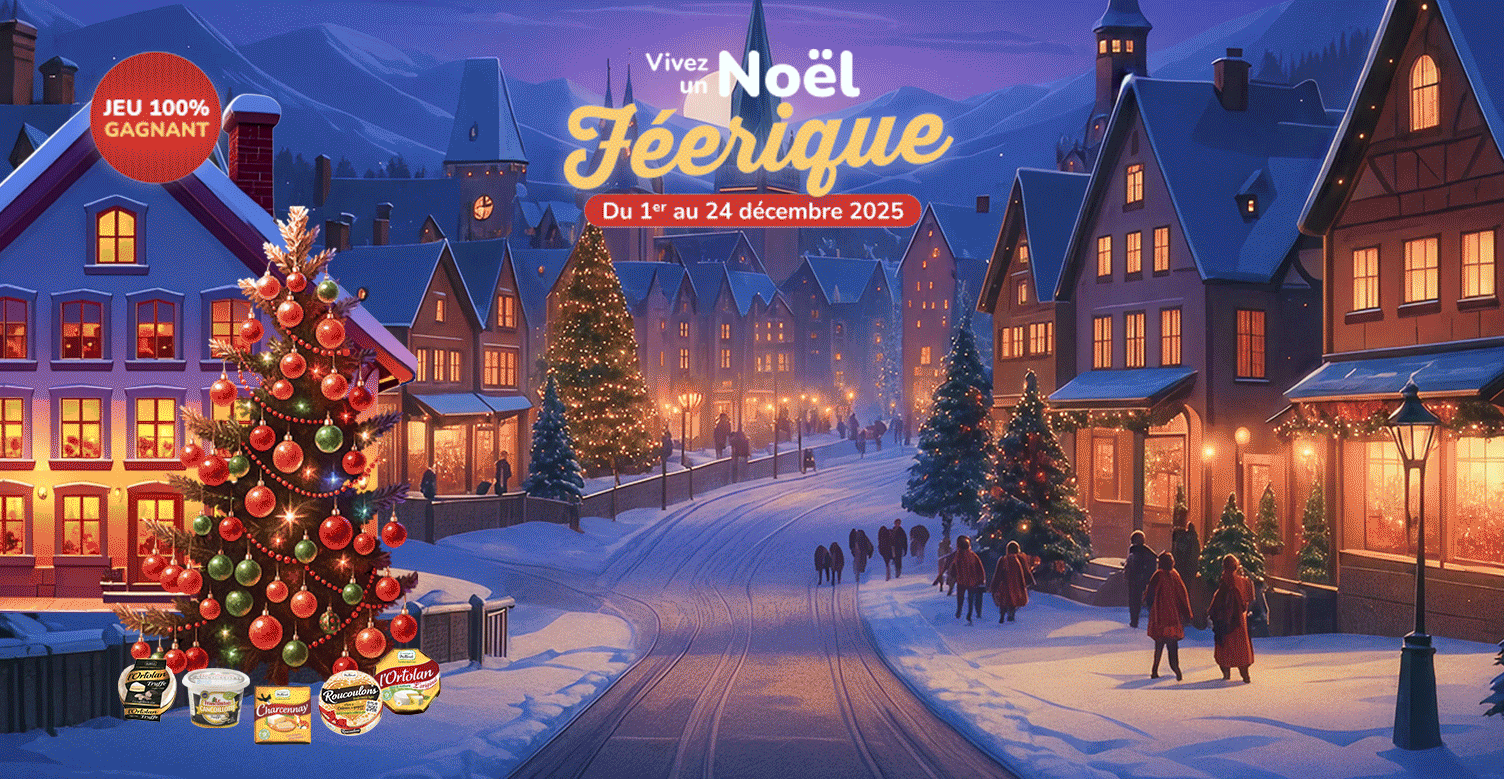 691ee2f7b78bf-jeu-noel-desktop.gif